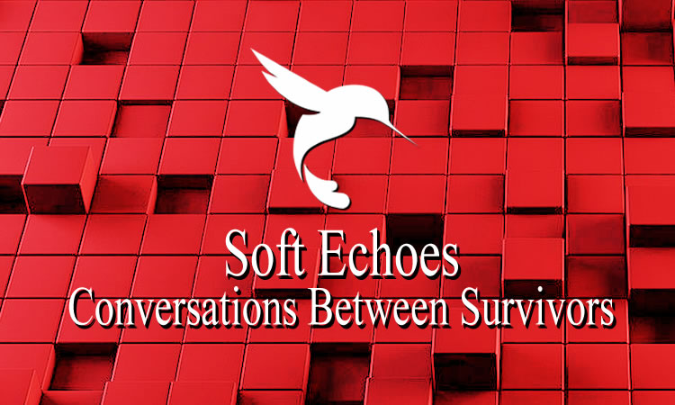 About Us at Soft Echoes